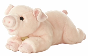 16" Miyoni Pig Exploration made fun