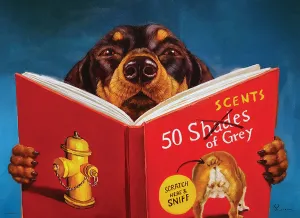 Brain boosters 50 Scents Of Grey - 500Pc Large