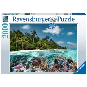 Fun-based learning Growing minds A Dive In The Maldives 2000Pc