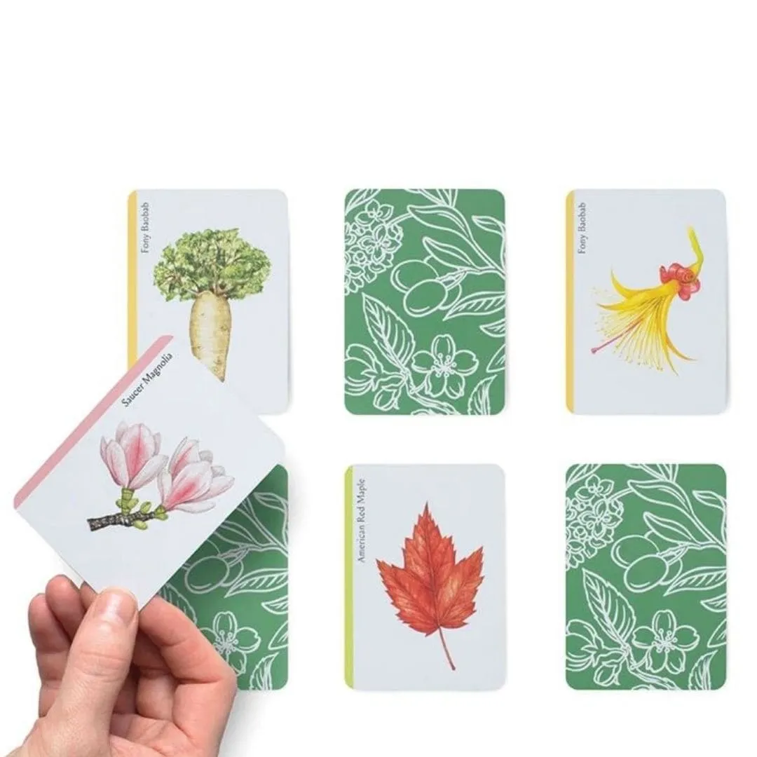 Growing minds Tree Families: A Botanical Card Game