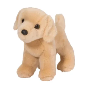 Zach The Yellow Lab Imaginative play Young learners