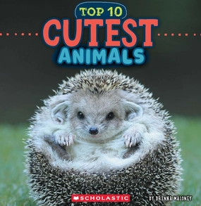Cutest Animals (Wild World: Top10) Little learners