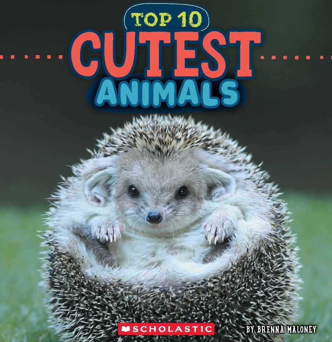 Cutest Animals (Wild World: Top10) Little learners