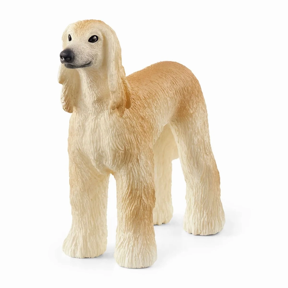 Afghan Hound Little creators