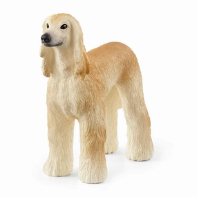 Afghan Hound Little creators
