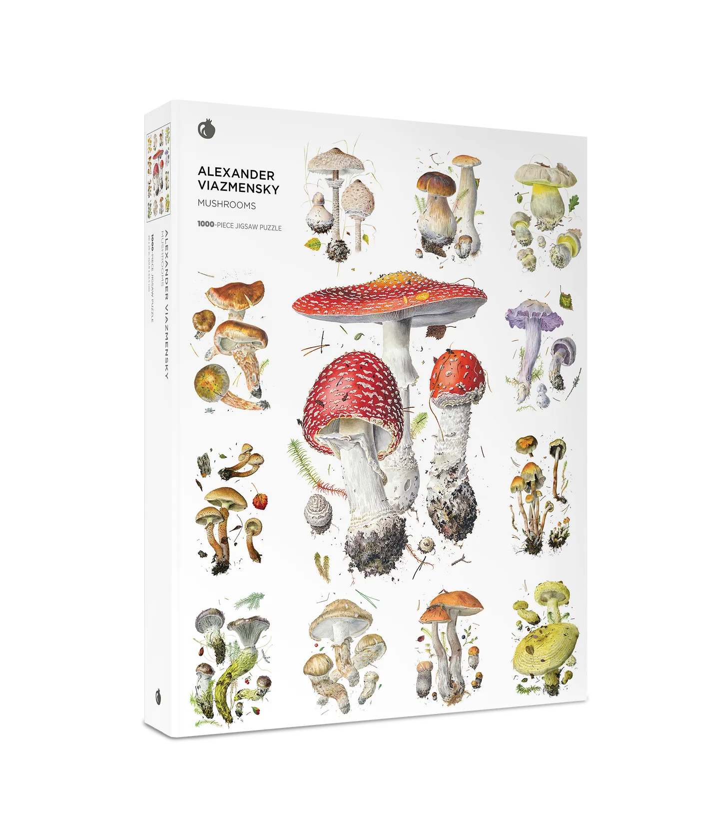 Alexander Viazmensky 1000-Piece Jigsaw Puzzle Quiet play for growing minds Busy kids