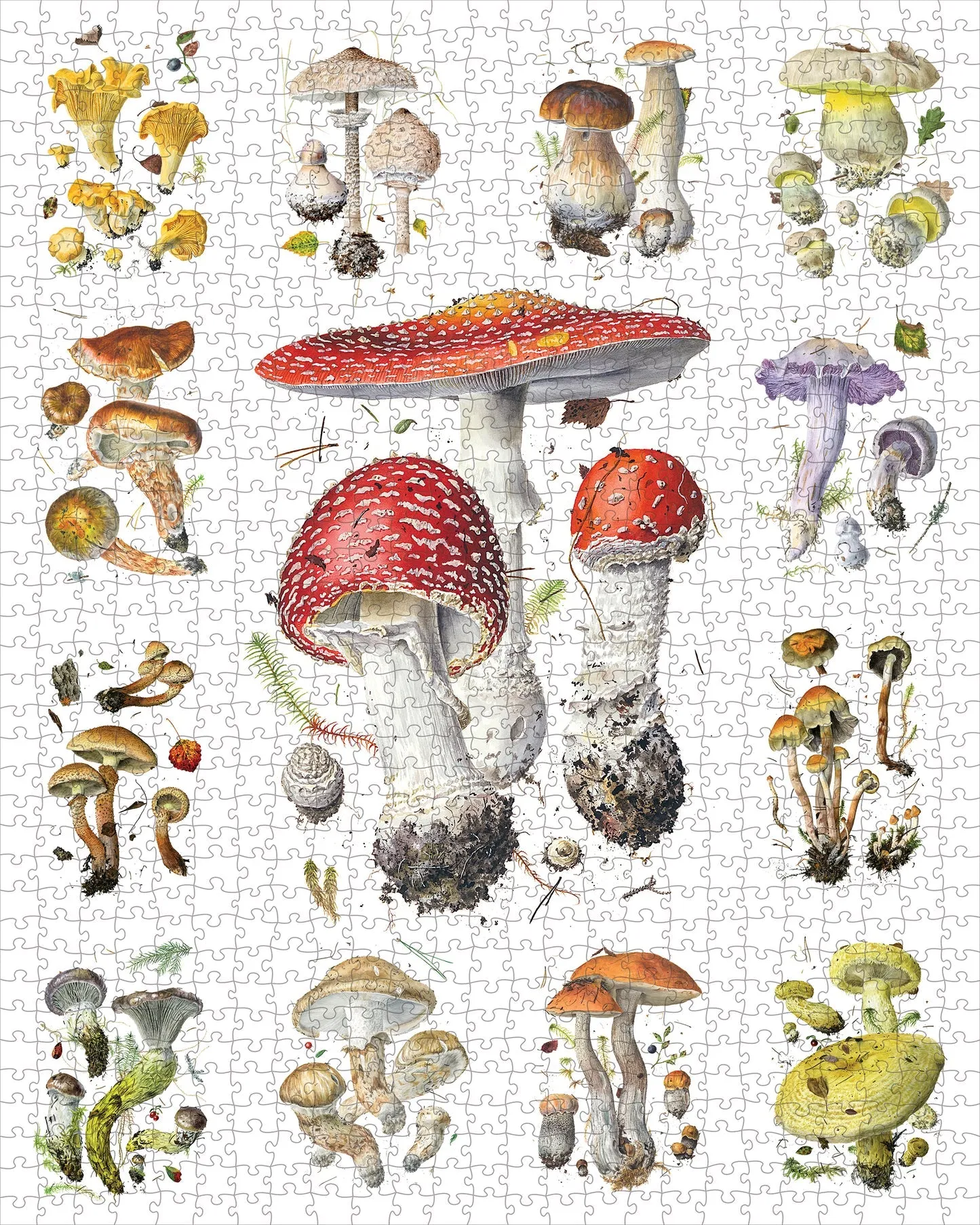 Quiet play for growing minds Mindful play Alexander Viazmensky 1000-Piece Jigsaw Puzzle