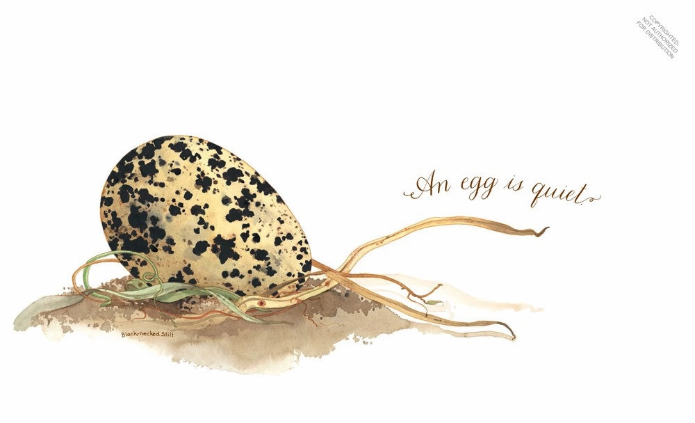 An Egg Is Quiet Smart little ones