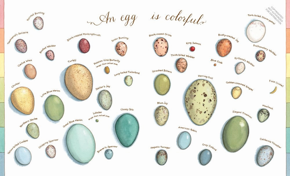 An Egg Is Quiet Designed for development