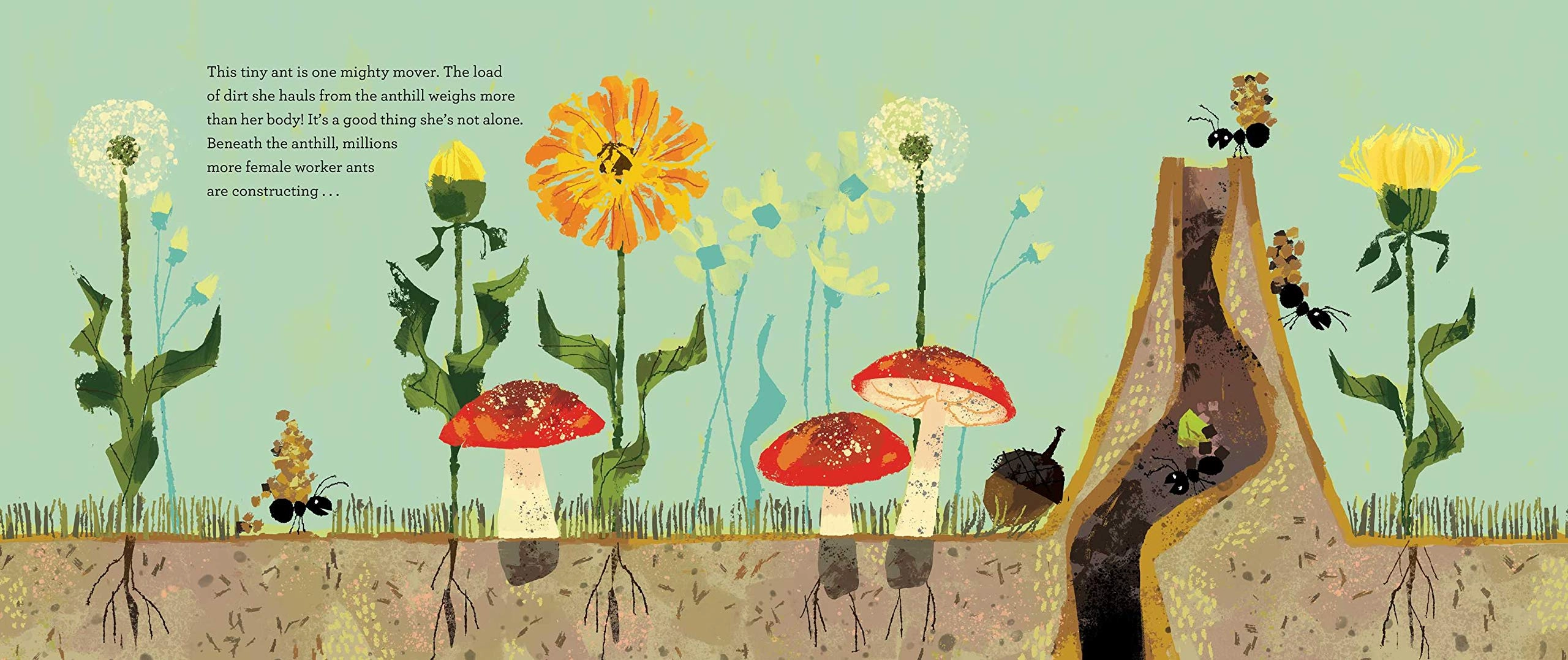 Growth tools Child development Animal Architects: Amazing Animals