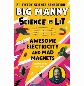 Awesome Electricity And Mad Magnets Educational fun Designed for development