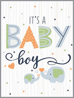 Baby Boy Elephants Enclosure Card Growth tools Home learning tools