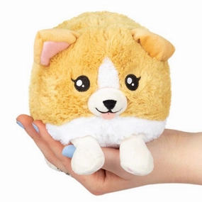 Baby Corgi Snacker Holistic Fun-based learning