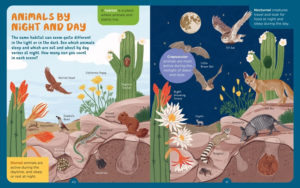 Learning fun Play-based education Backpack Explorers: Night Walk