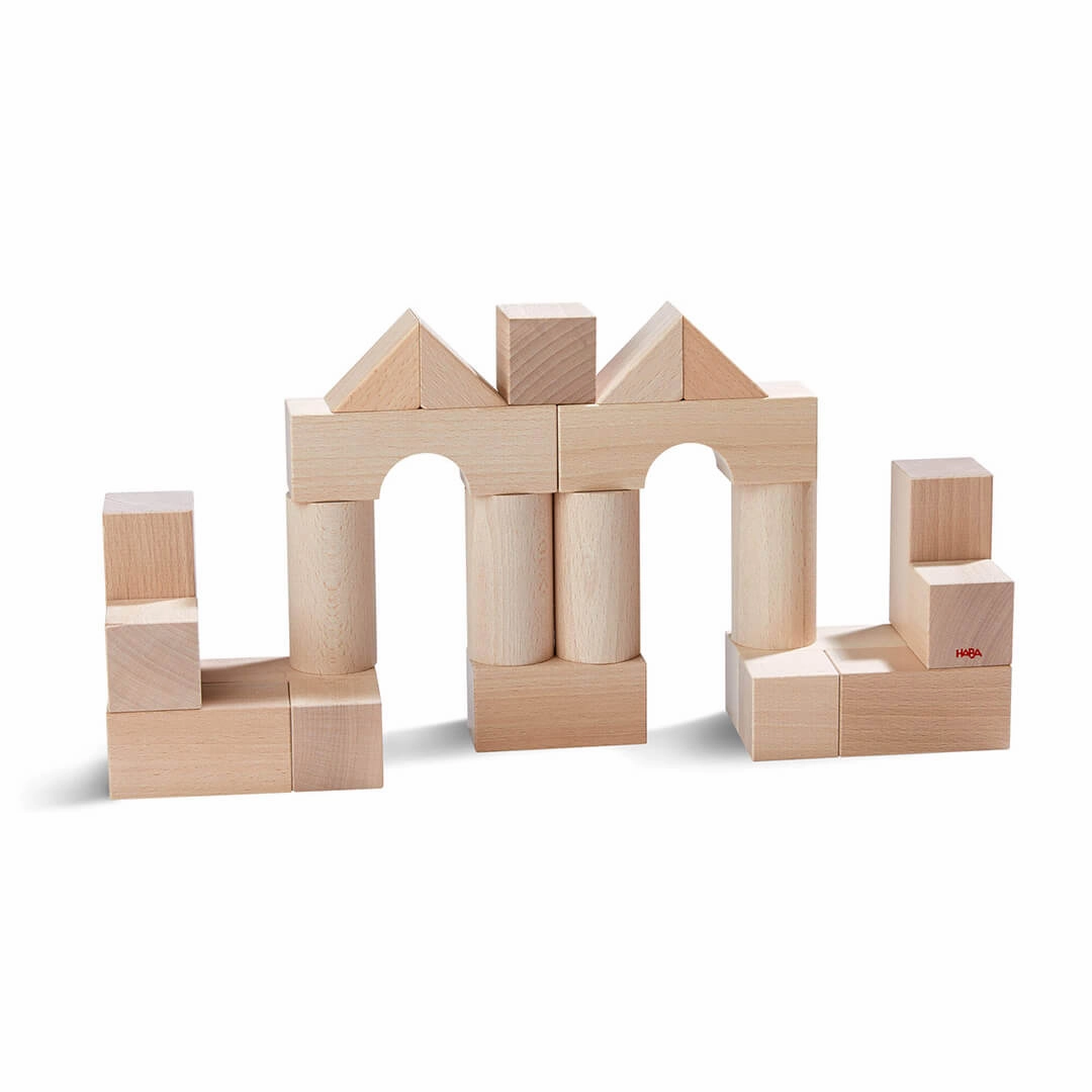 Play & learn Fun for curious minds Basic Building Blocks - Small Starter Set