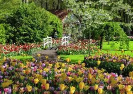 Beautiful Gardens - Keukenhof Gardens Netherlands 1000Pc Holistic