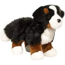 Bernese Mountain Dog Kid-centered learning