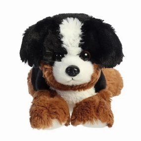 Bernie Mountain Dog Thoughtful learning Exploration made fun