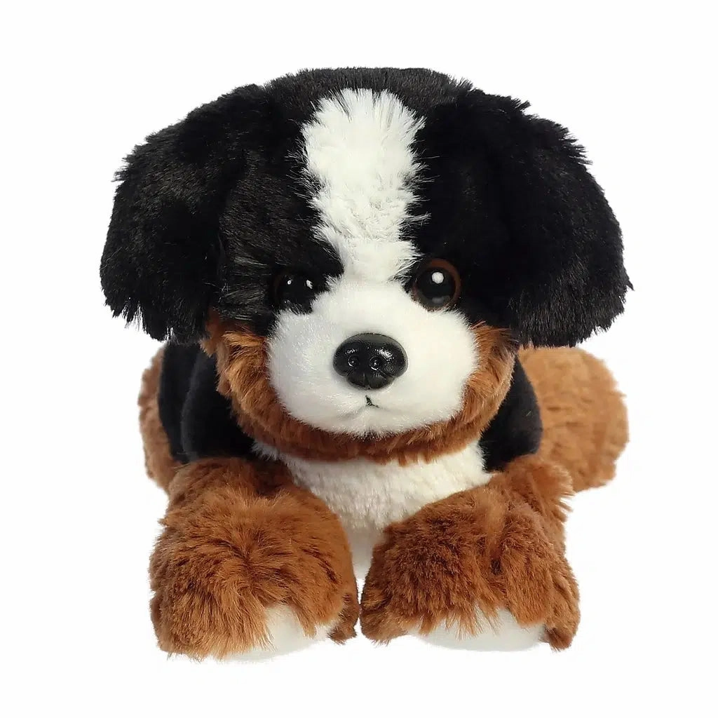 Bernie Mountain Dog Thoughtful learning Exploration made fun