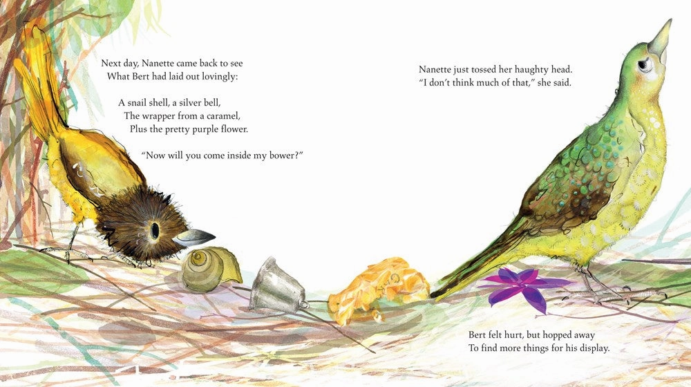 Bert The Bowerbird Kids discovery tools