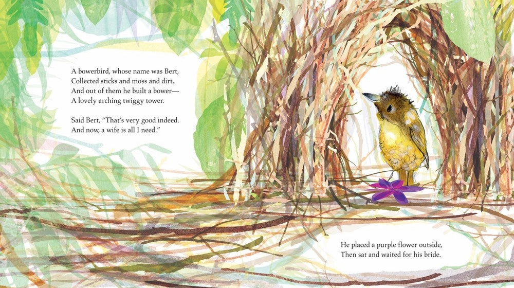 Bert The Bowerbird Learning fun Little builders