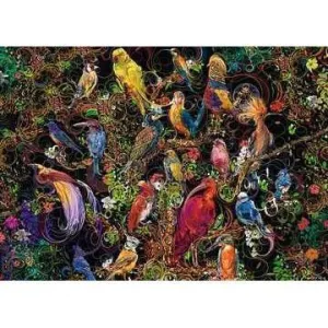 Tiny thinkers Exploration gear Birds Of Art