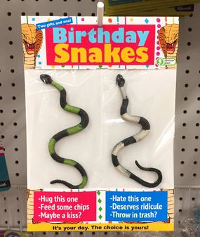 First explorers Quiet play for growing minds Birthday Snakes