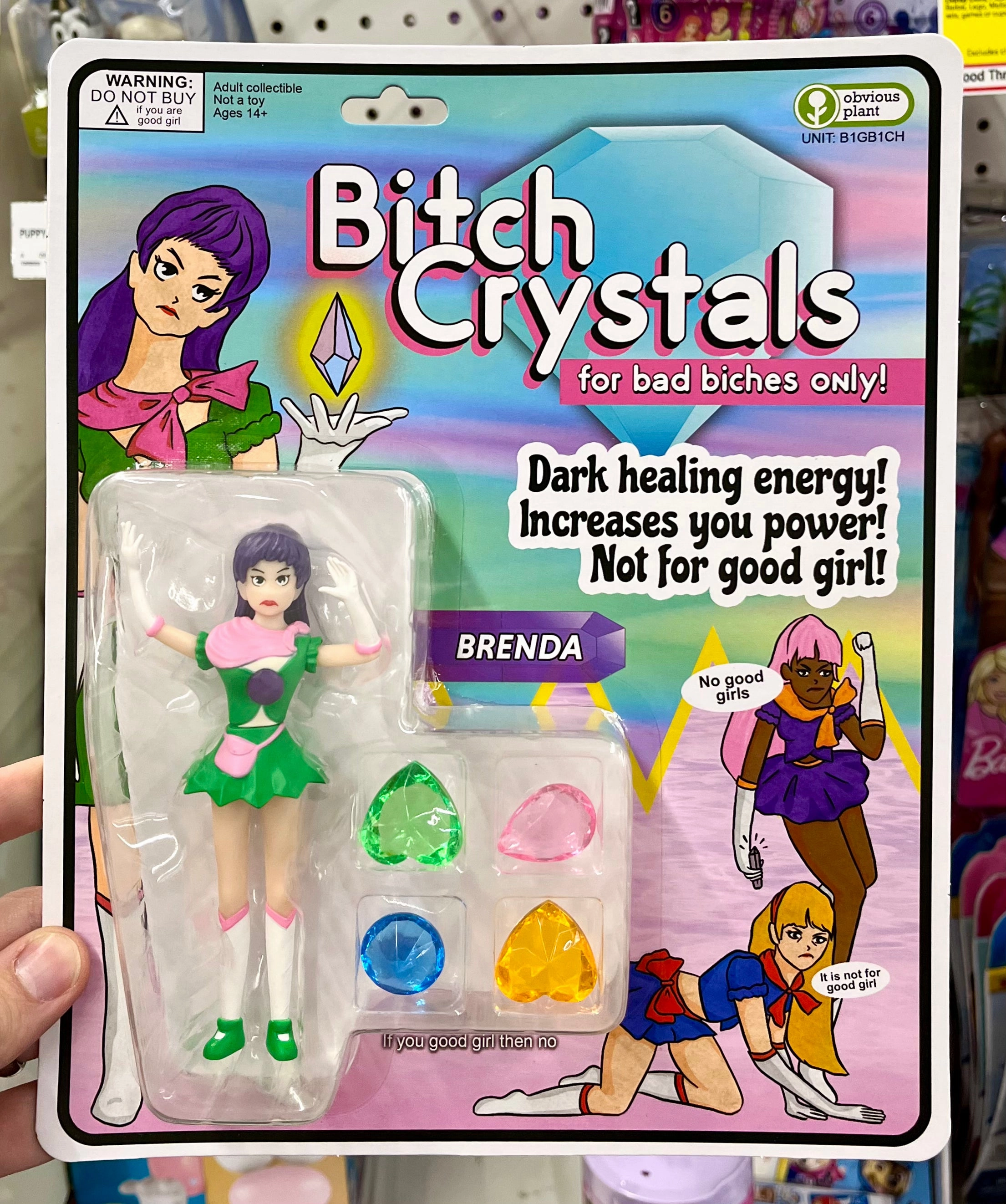 Bitch Crystals: Brenda Inspiring creativity Thoughtful learning