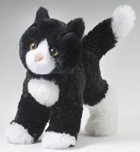 Active learners Black & White Cat Snippy