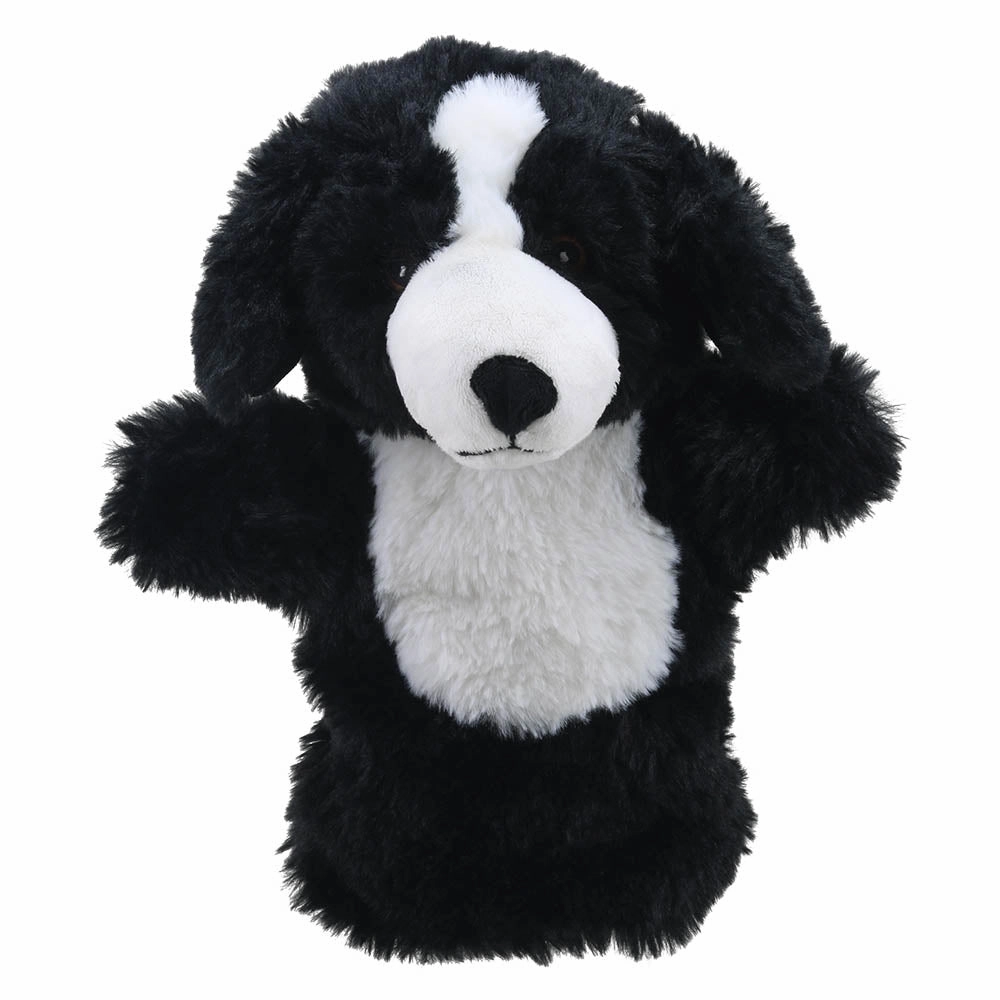 Border Collie Puppet Buddies Young explorers
