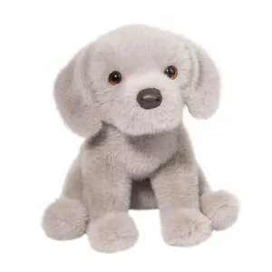 Argento Silver Lab Pup Young explorers Kids essentials