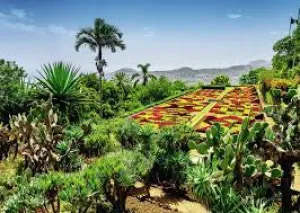 Creative minds Beautiful Gardens - Botanical Garden, Madeira 1000Pc