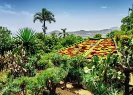 Creative minds Beautiful Gardens - Botanical Garden, Madeira 1000Pc
