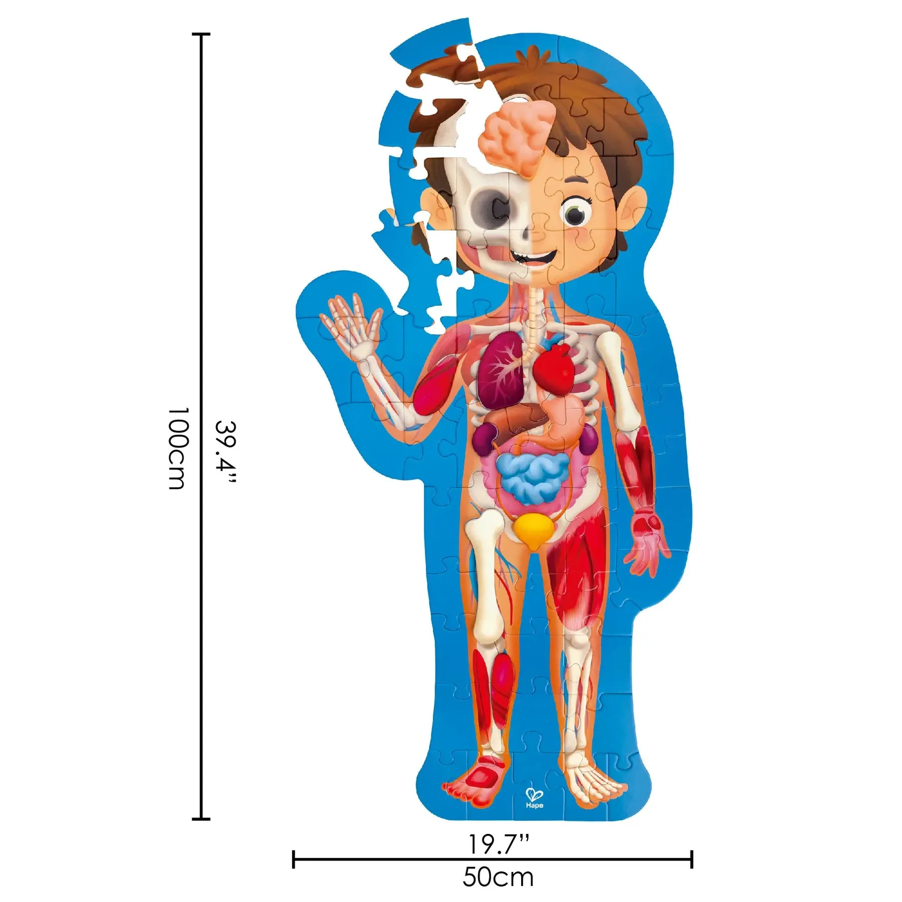 Learning fun Little hands Hape Human Body Puzzle
