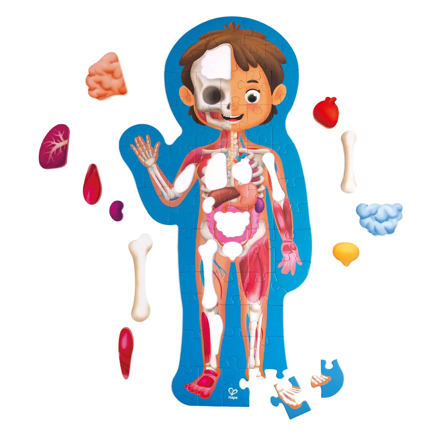 Hape Human Body Puzzle Creative minds Exploration made fun