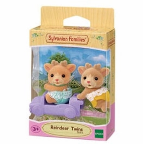Kid-centered learning Little learners Reindeer Twins