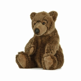 Young explorers Brown Bear
