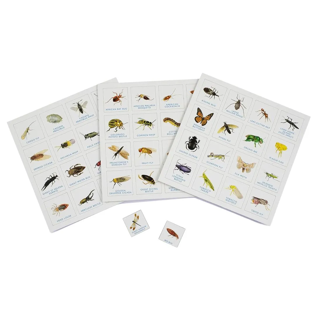 Play & learn Bug Bingo Family Game