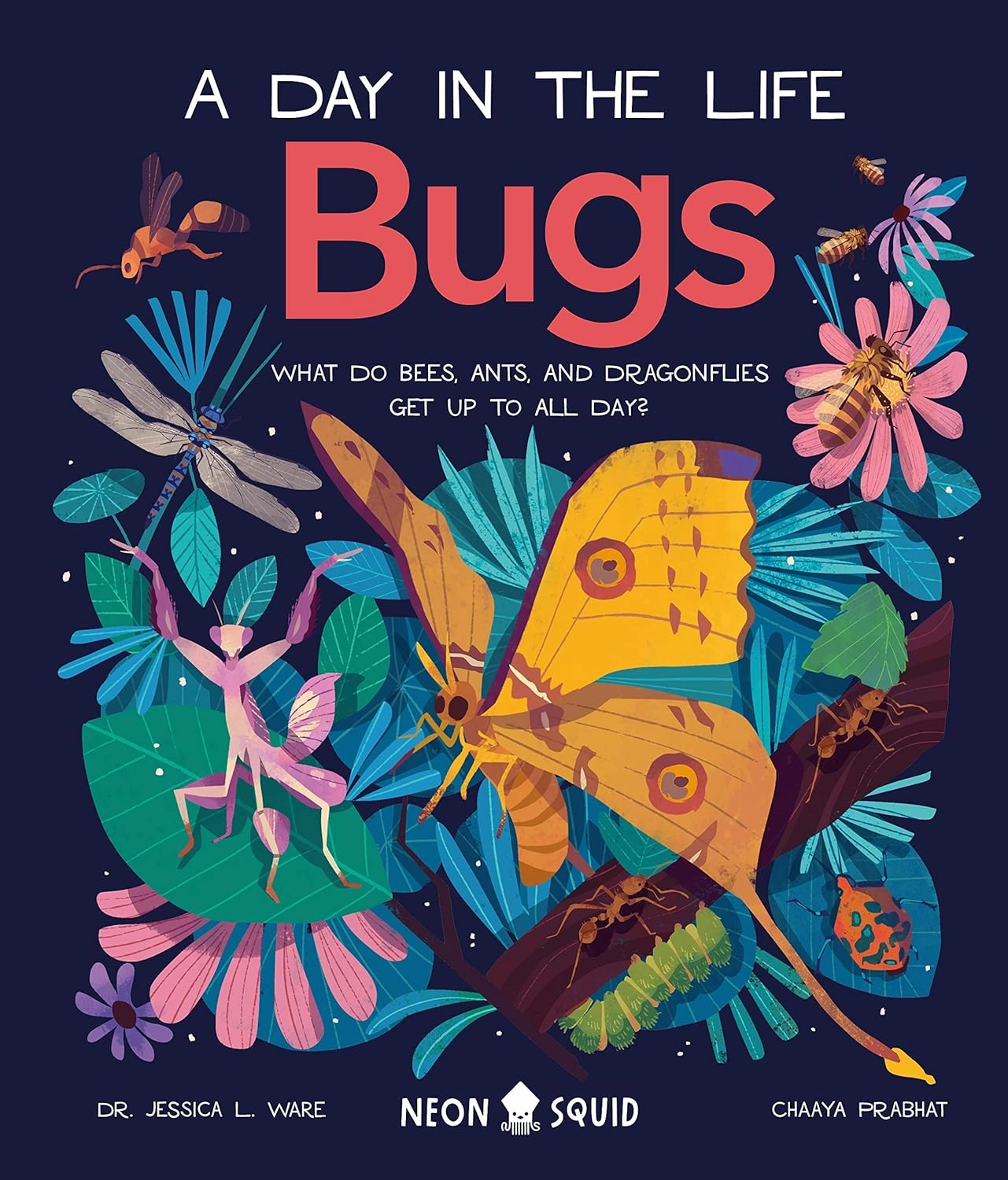 Bugs: A Day In The Life Skill-building tools