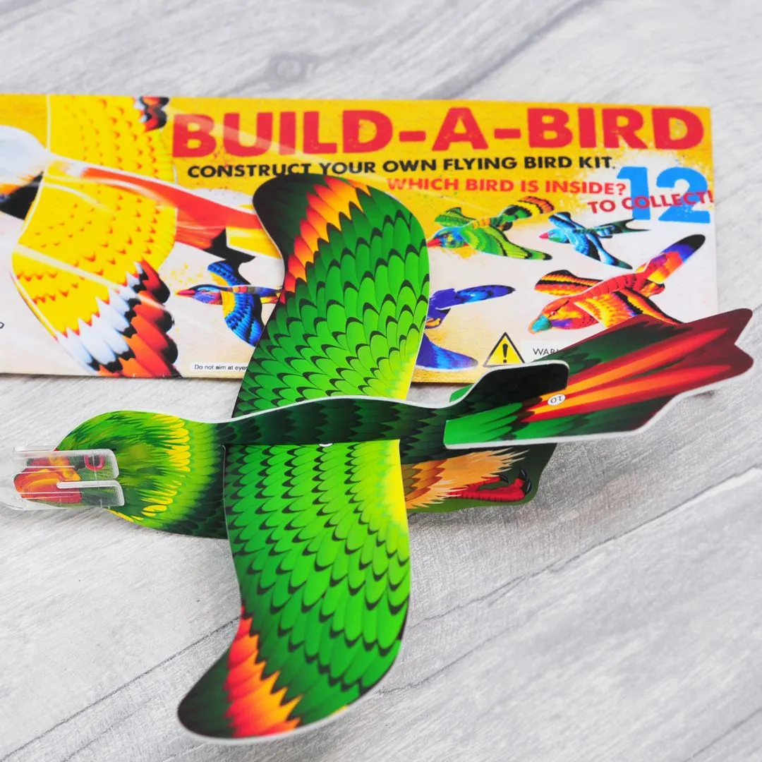 Play-based education Curiosity starters Build A Bird Kit