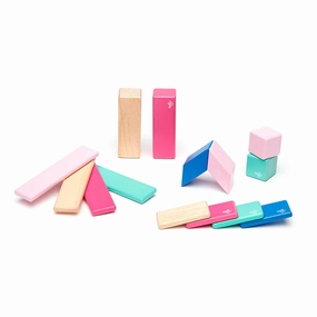 Playroom learning Magnetic Wooden Blocks - 14 Piece Set - Blossom
