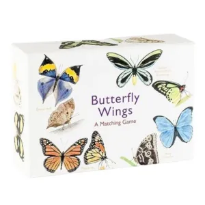 Little learners Joyful learning Butterfly Wings Matching Game