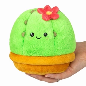 Cactus Snacker Joyful learning Learn & grow