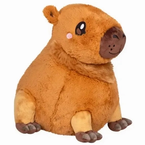 Nurturing minds Capybara