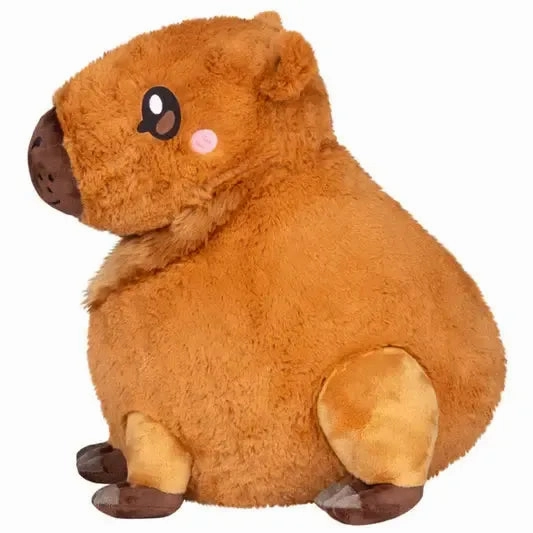 Capybara Enrichment activities