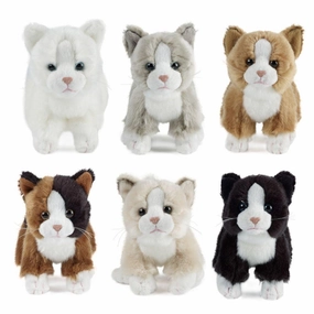 Growing minds Tiny thinkers Cat Small