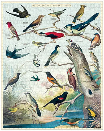 Cavallini & Co. Audubon Birds 1000 Piece Puzzle Learn & grow Fun for curious minds
