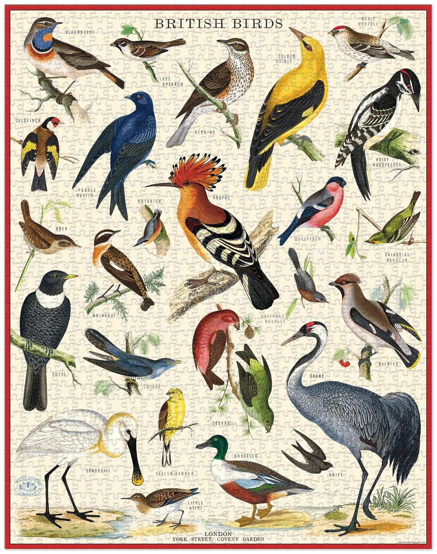 Curiosity starters Smart little ones Cavallini & Co. British Birds 1000 Piece Puzzle
