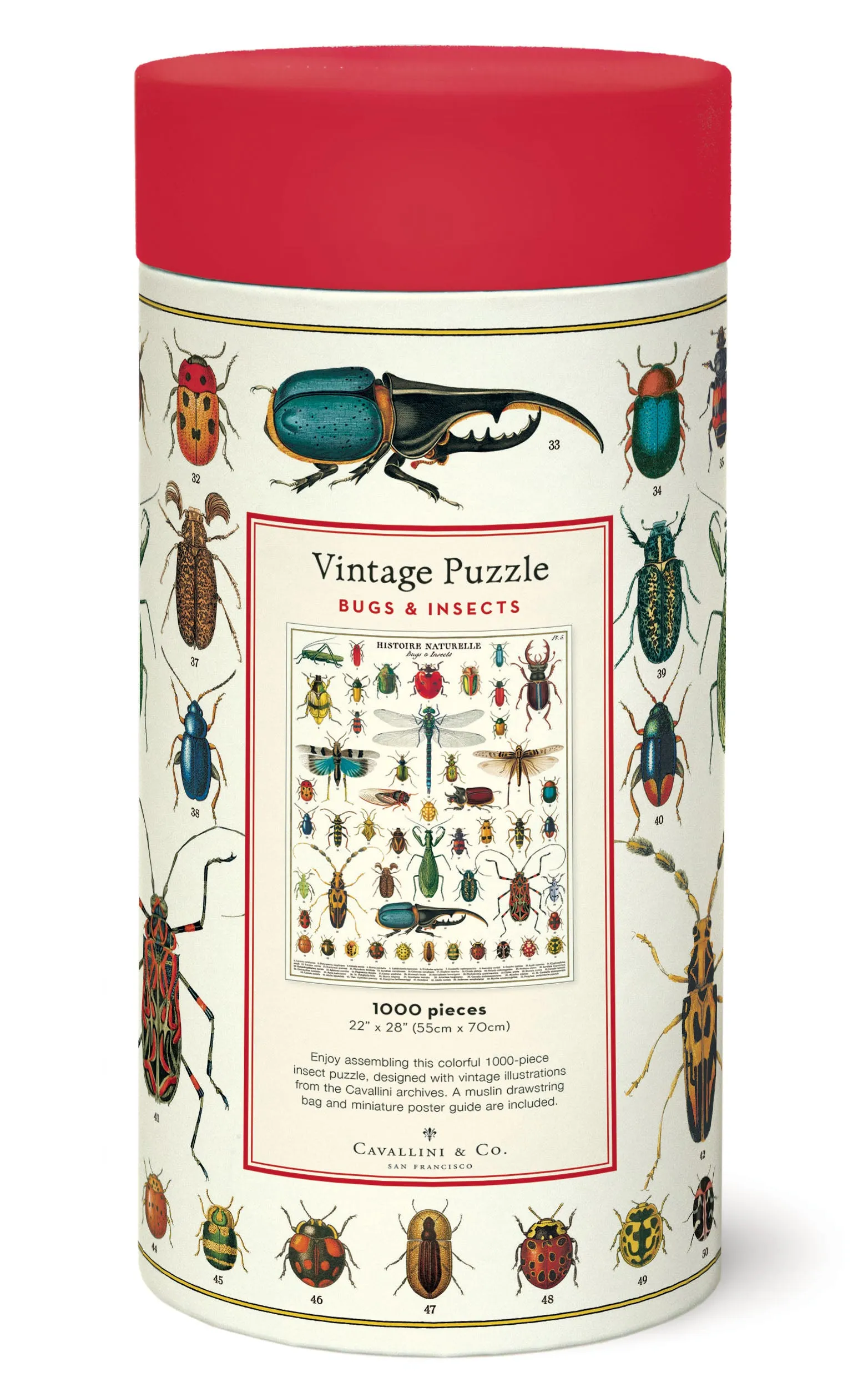 Thoughtful learning Cavallini & Co. Bugs & Insects 1000 Piece Puzzle