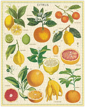 Little hands Cavallini & Co. Citrus 1000 Piece Puzzle